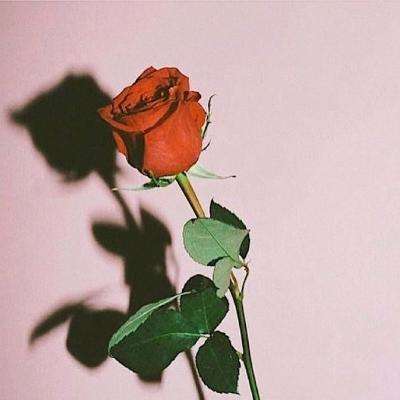 太阳集团棋牌娱乐