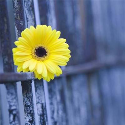 万博手机版max网页版(中国)官方网站