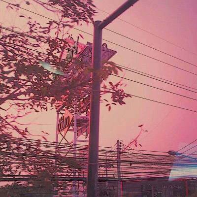 半岛网页版入口官网