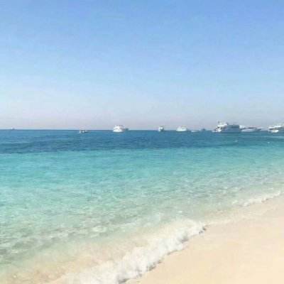 bte365真正的网站下载手机版