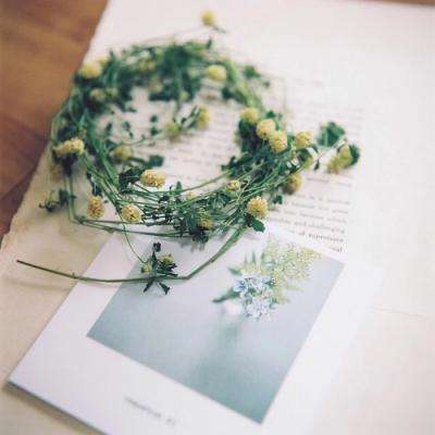 半岛app下载入口