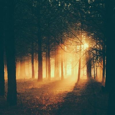 麻将胡了appapp下载