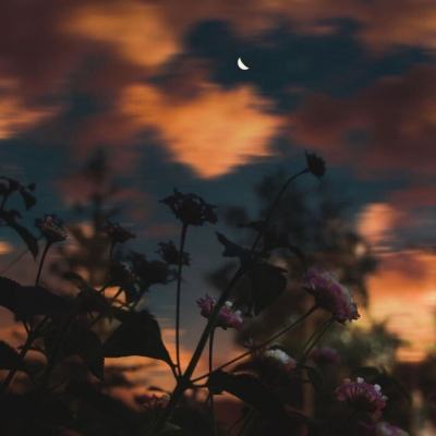 半岛app下载入口