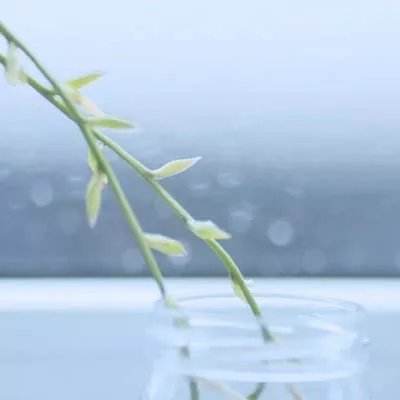 bob·体育综合appapp下载